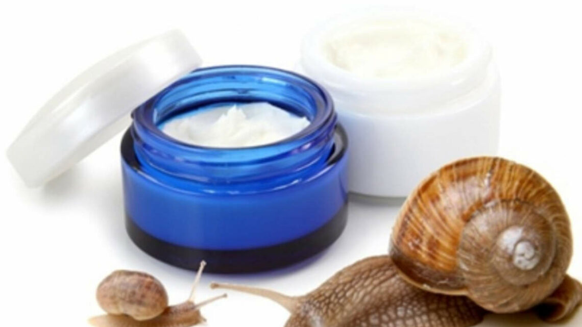 Le proprietà della bava di lumaca per la skincare quotidiana per pelli miste Le proprietà della bava di lumaca per la skincare quotidiana per pelli miste